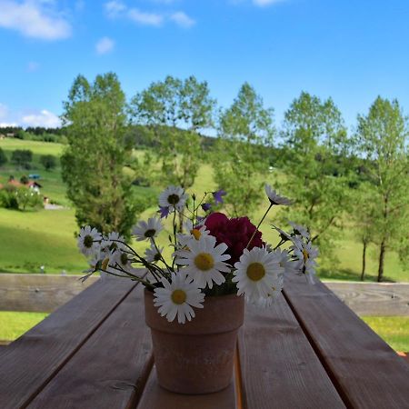 Chalet In Hinterrod Thuringia With Sauna Eisfeld Bagian luar foto